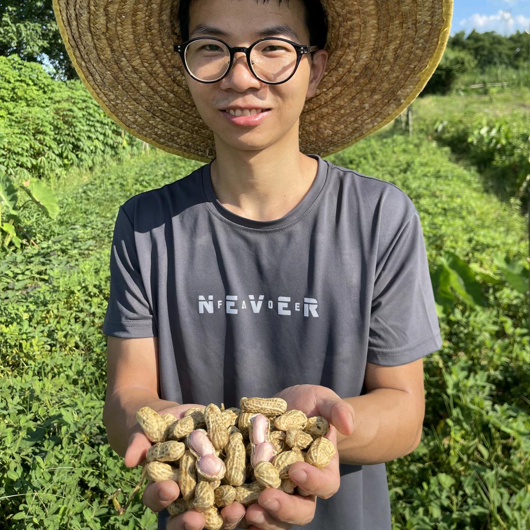 张凌农产品花生