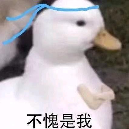 绿色的大包子