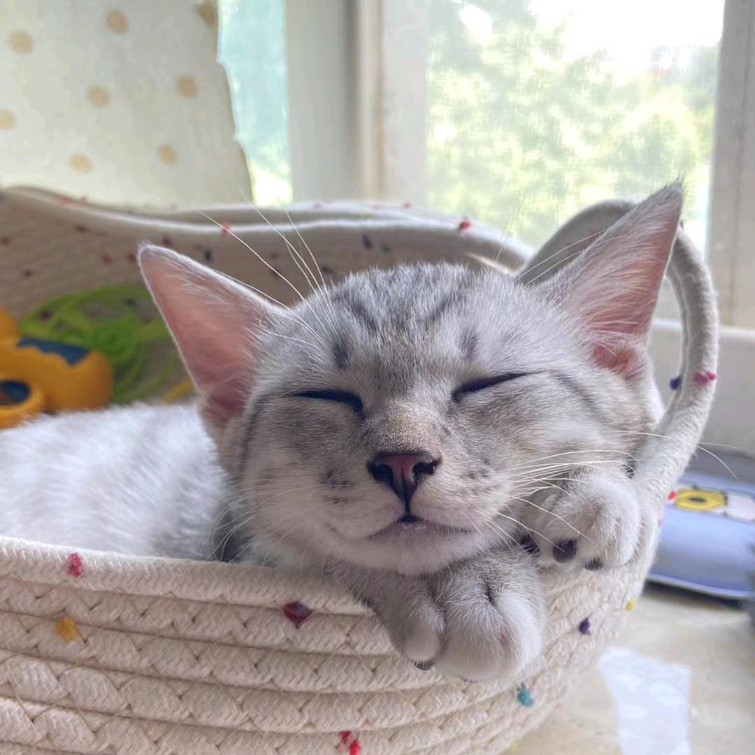 年轻的人