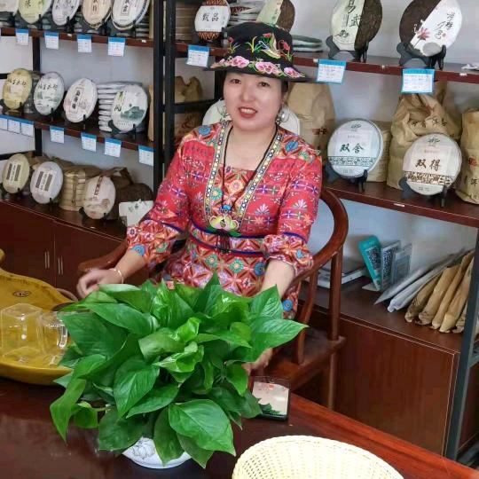 红姜艾草洗发水，全球首款，脱发救星