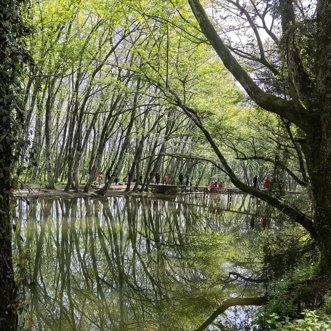 思梦