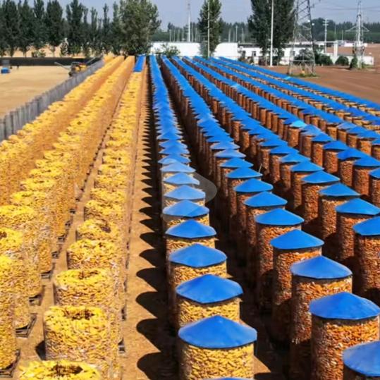 吉祥卍八方来财