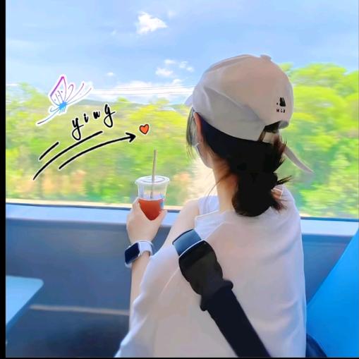 暖心向阳$