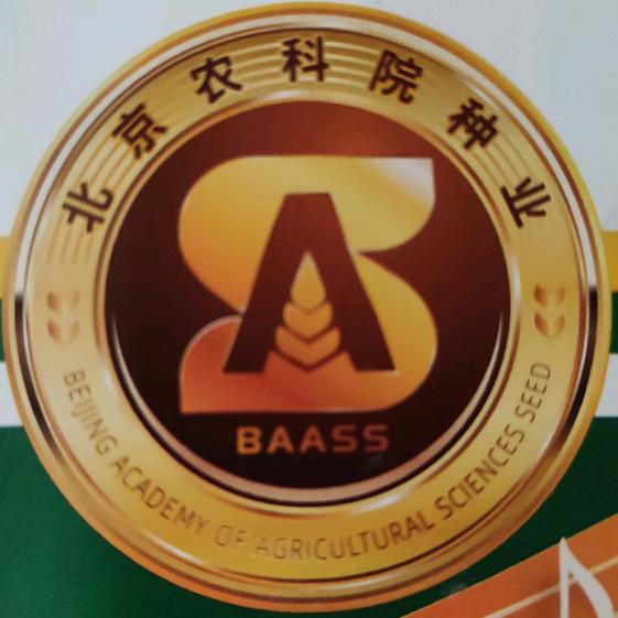 北京农科院种业老王