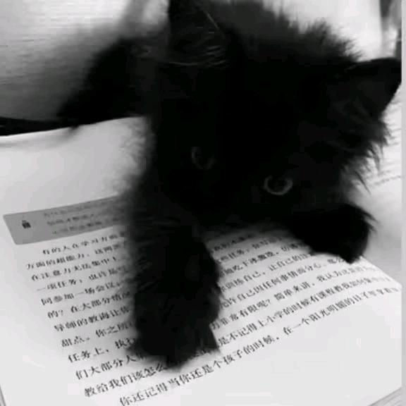我爱打王者