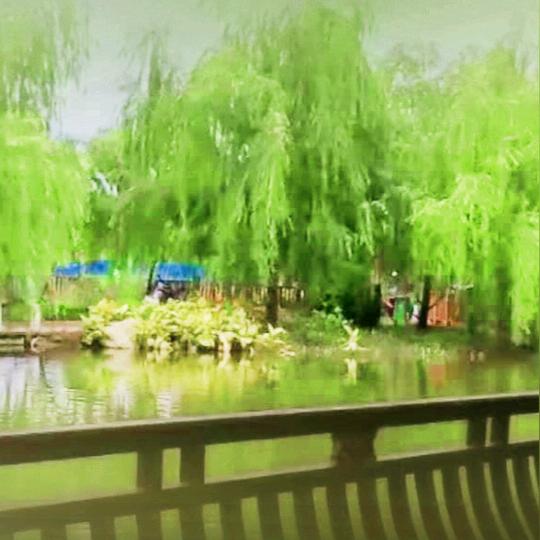 爱情一阵风