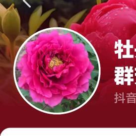 二管事一号