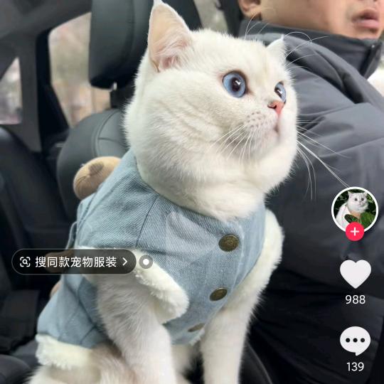 缘来是李