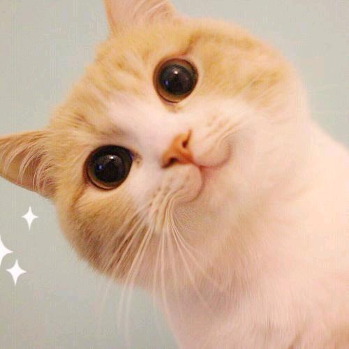 @余忆🌸