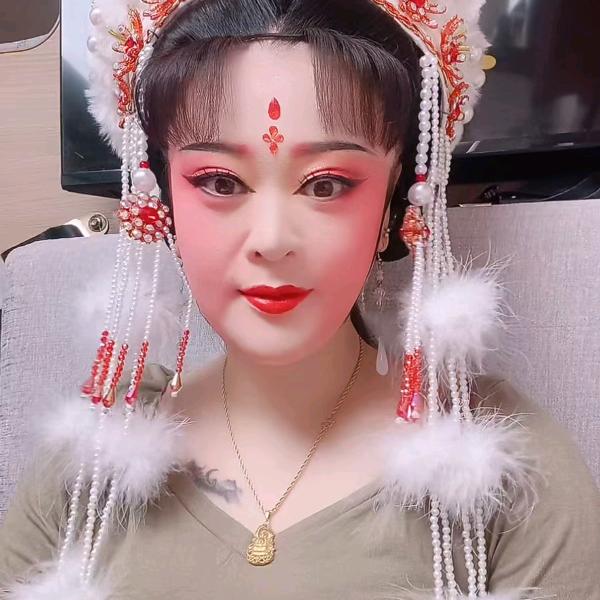 庐剧陈璐璐
