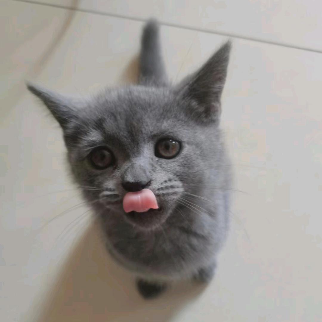 老黄