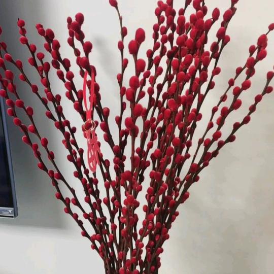 银柳花