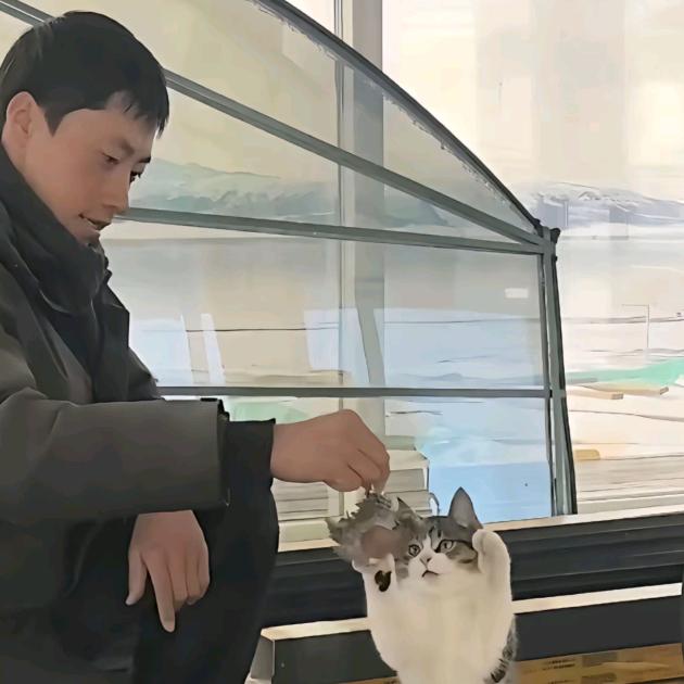 每天进步亿点点