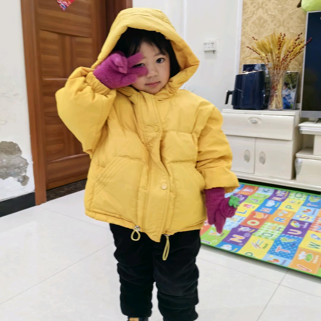 政政的圆圆