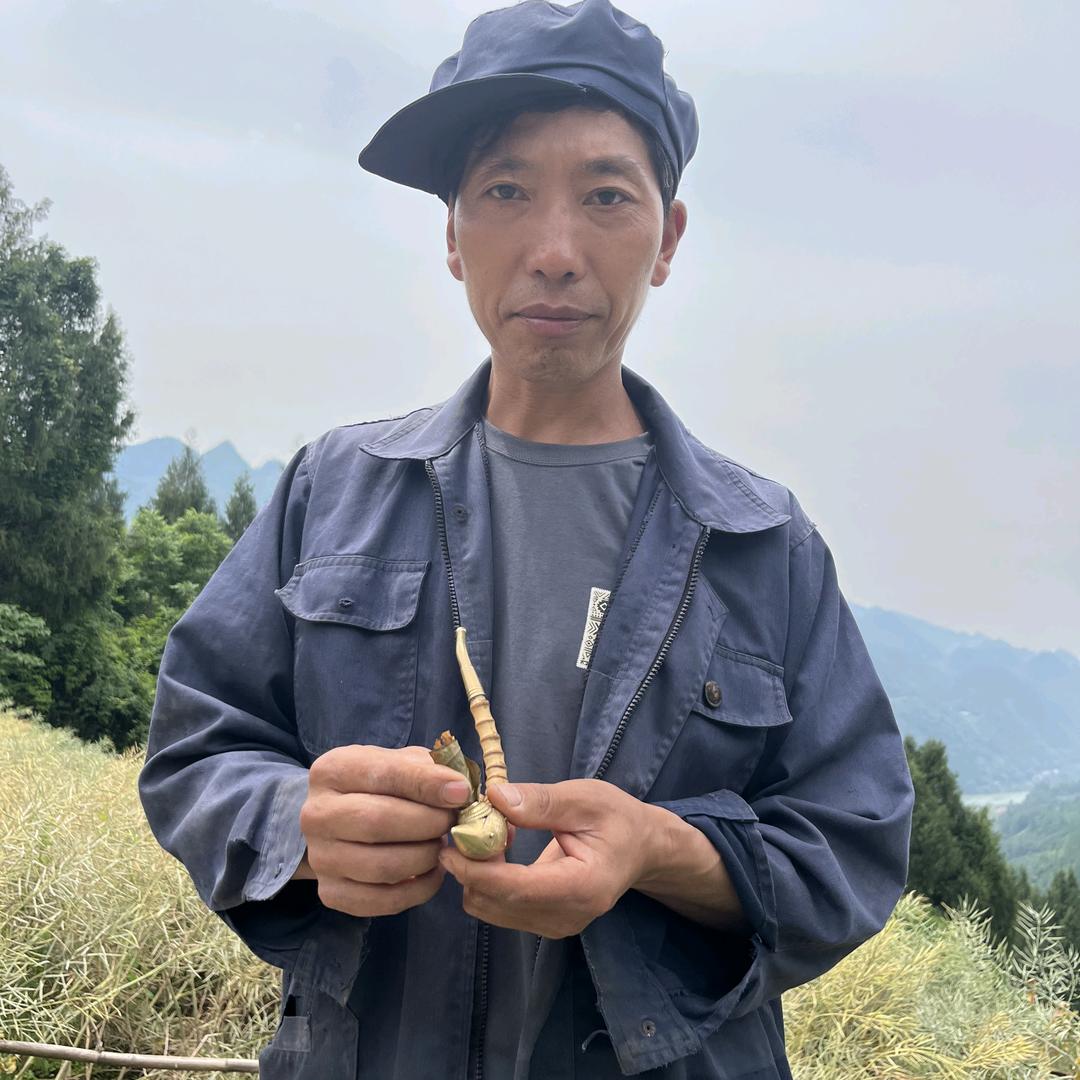 黔江友哥（助农视频）