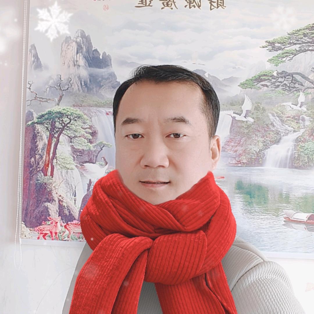 炒股的老柴