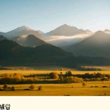 抖乐乐
