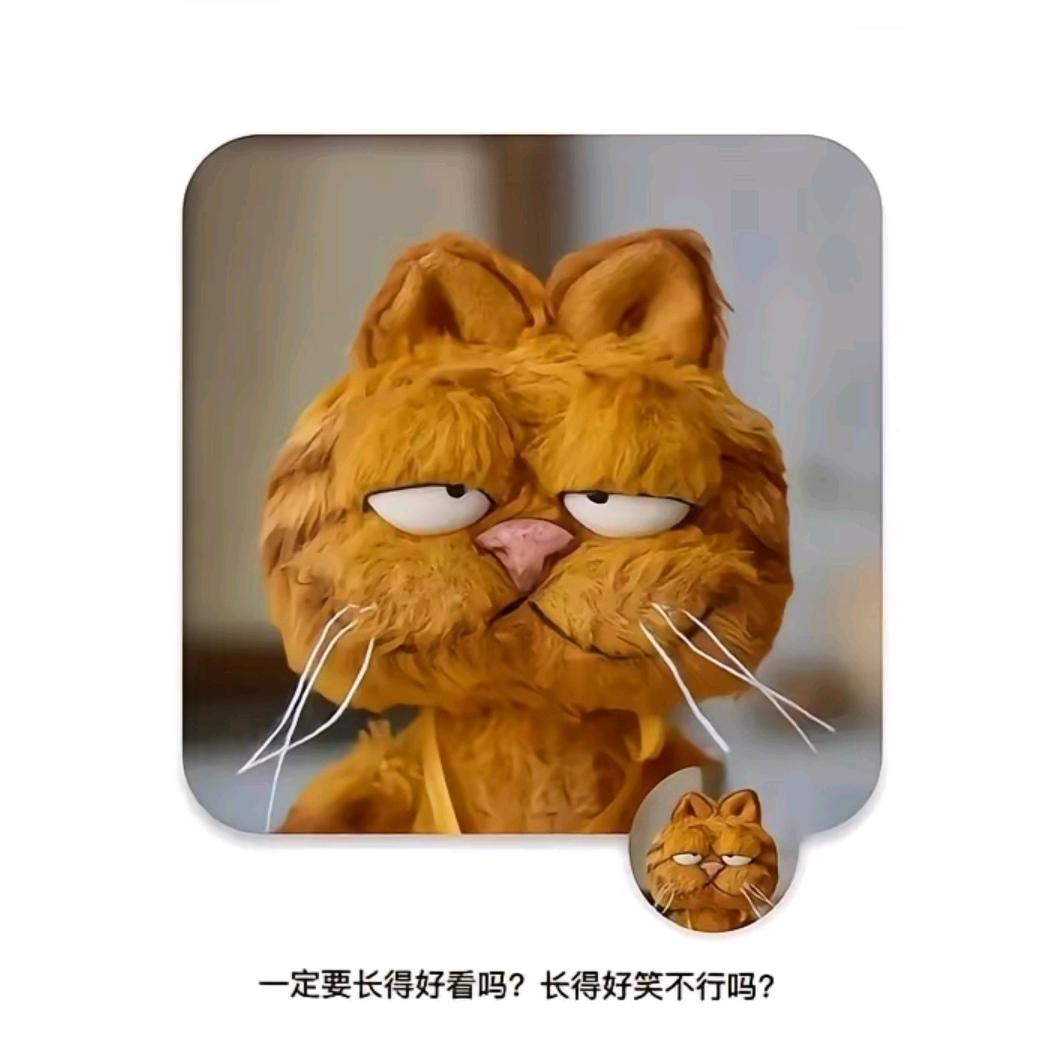 打工的豆包