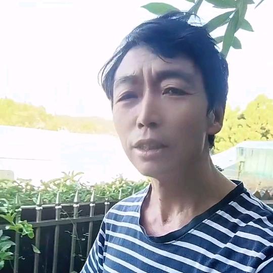 梦幻之行