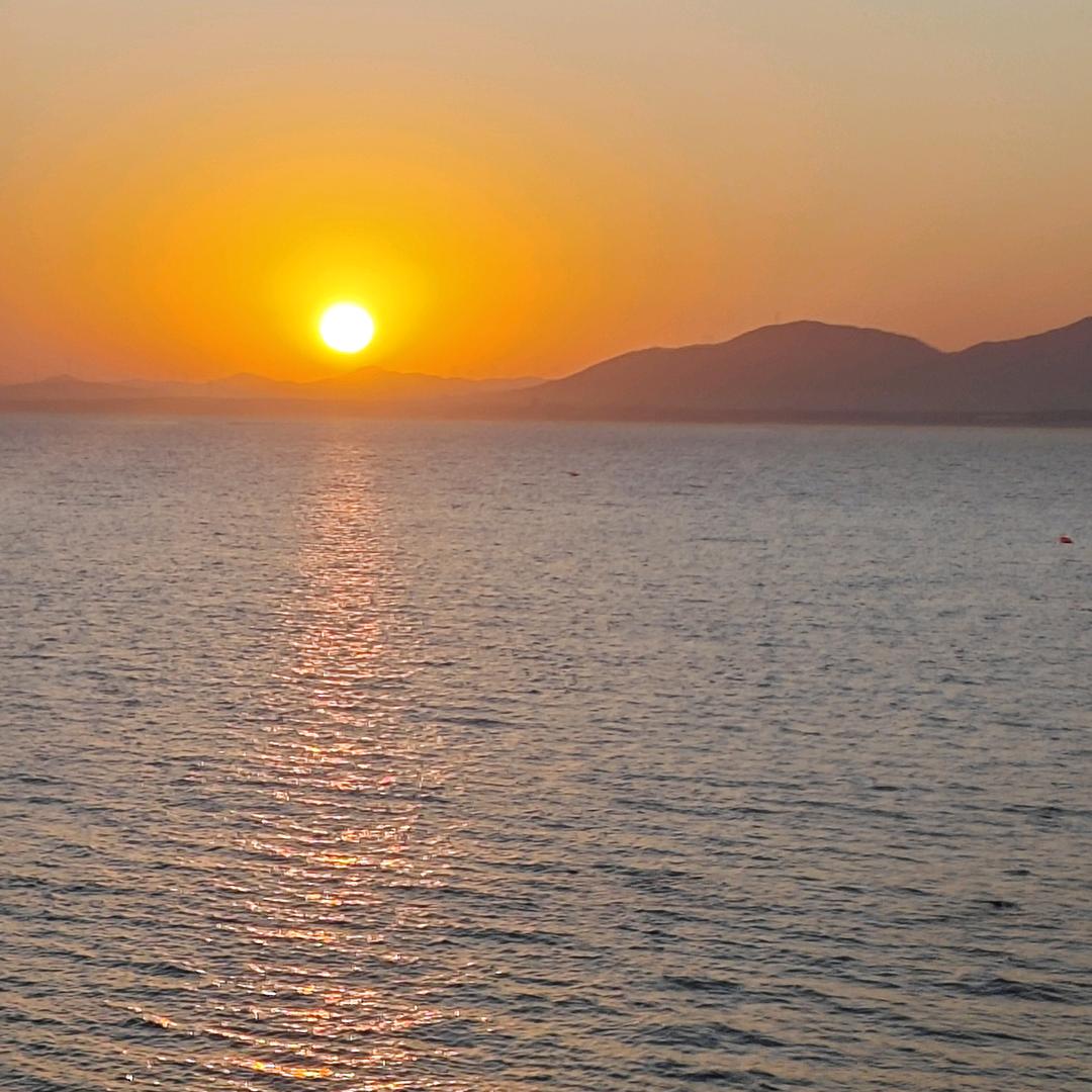 开哥☞开心养鸡