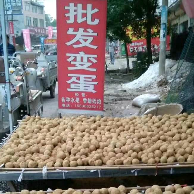 双簧变蛋