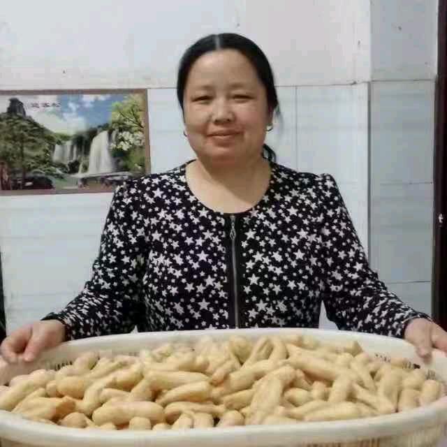 冠得豆参