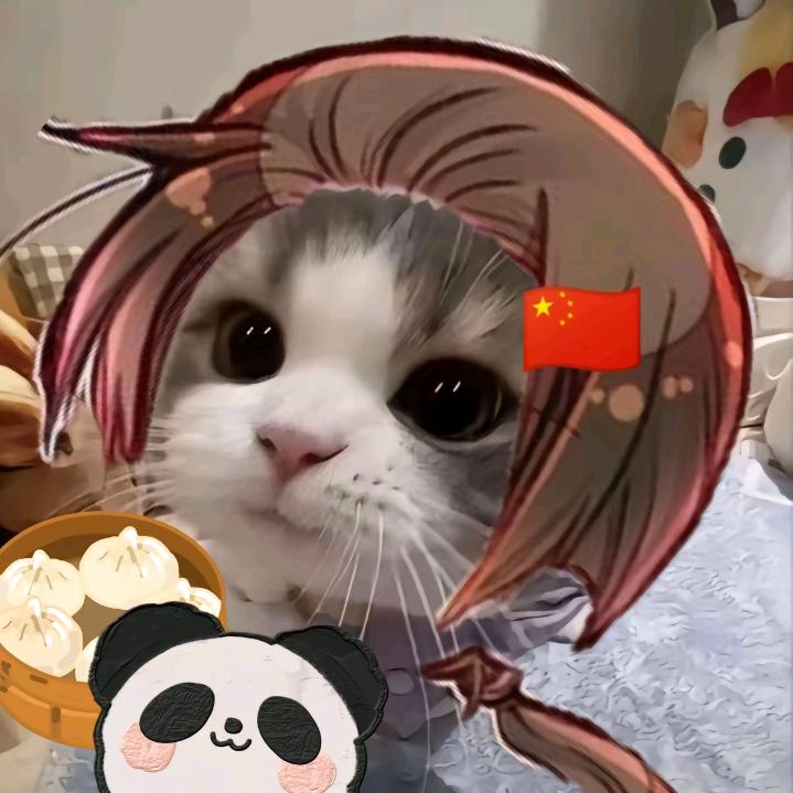 ⁺✞ʚ人民币重度依赖ɞ