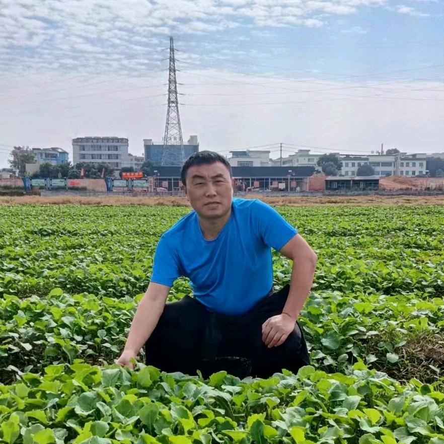 沃尔丰农资 小林（商品在橱窗）