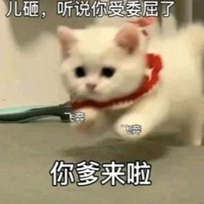 哥白尼罗河头像