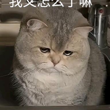 阙