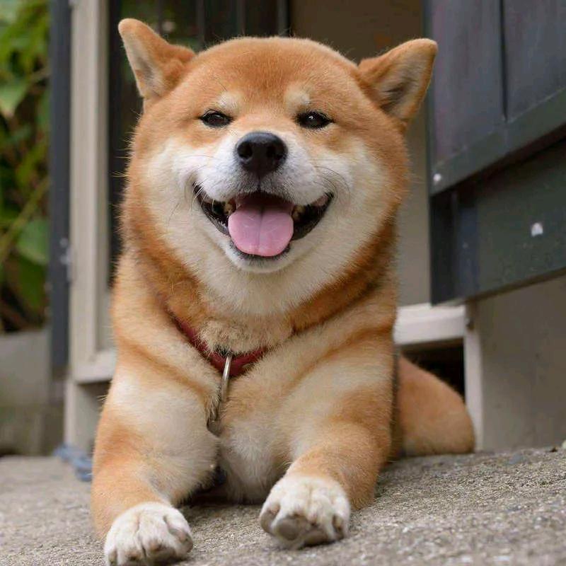 T!!!!!!