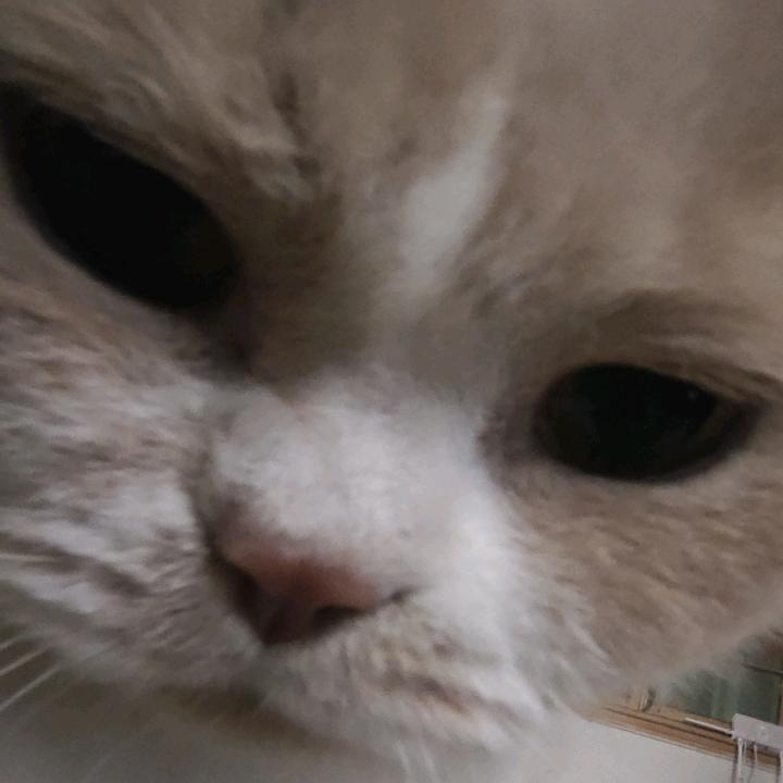夏季清风