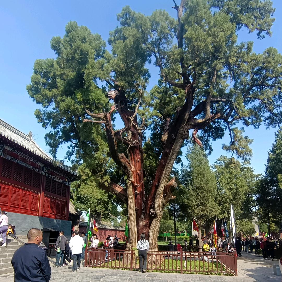 乘风破浪