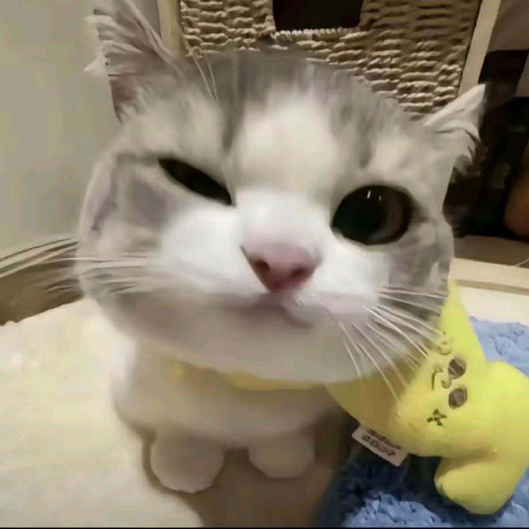 下次见
