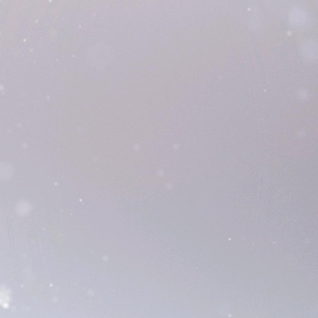 随县星北梦网络工作室