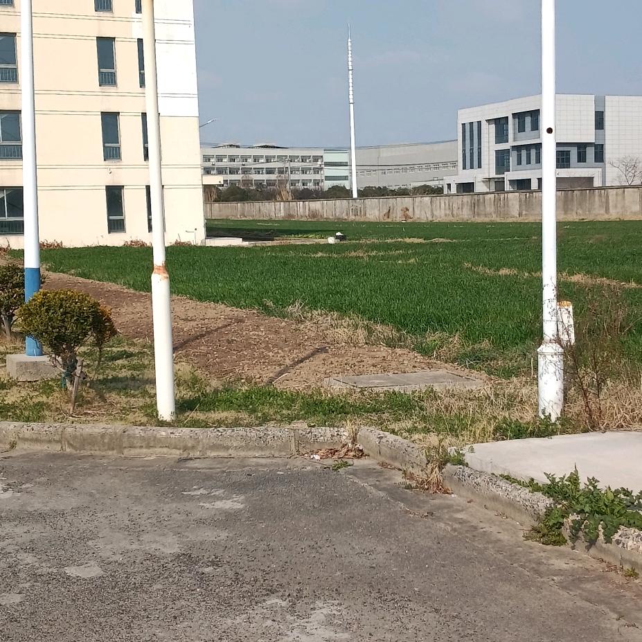 王昌莱雄霸天下