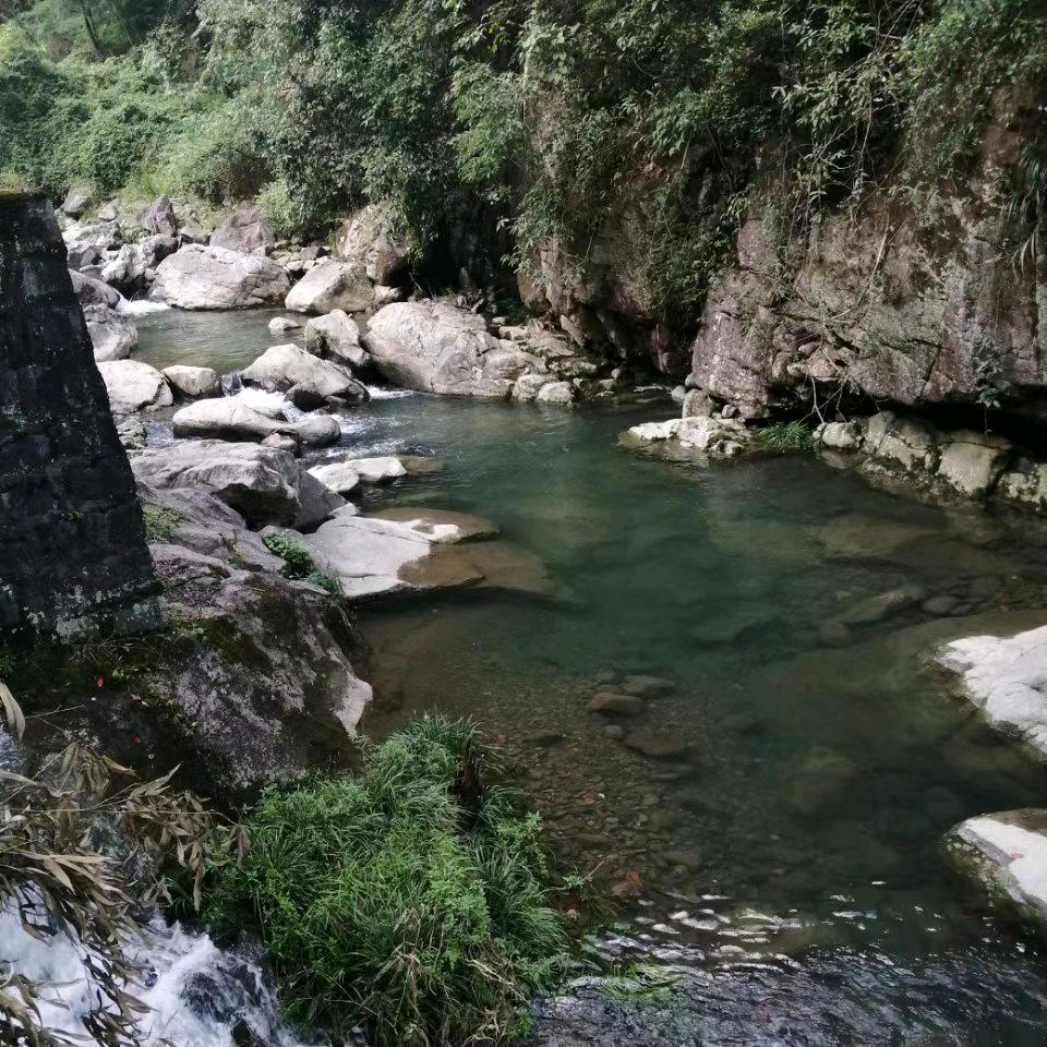 一哥
