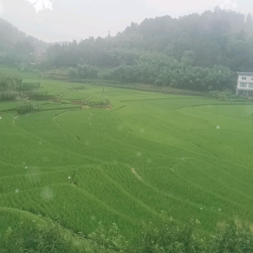有故事的男人