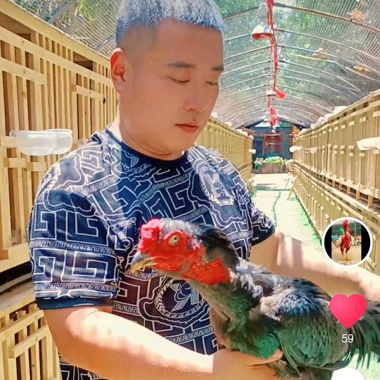 柘城县辉煌养殖场