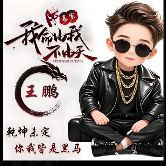王者归来鹏程万里