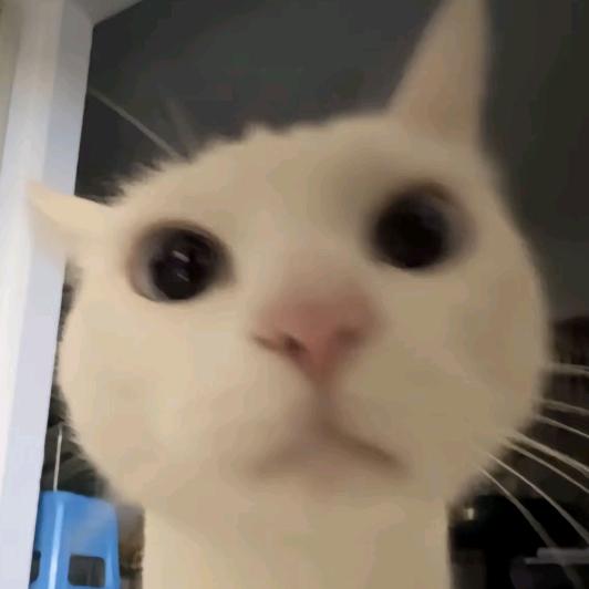 03.