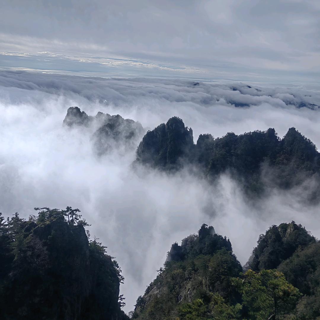 ✨往记一切，做回自己🍀