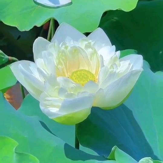 ～深秋≈
