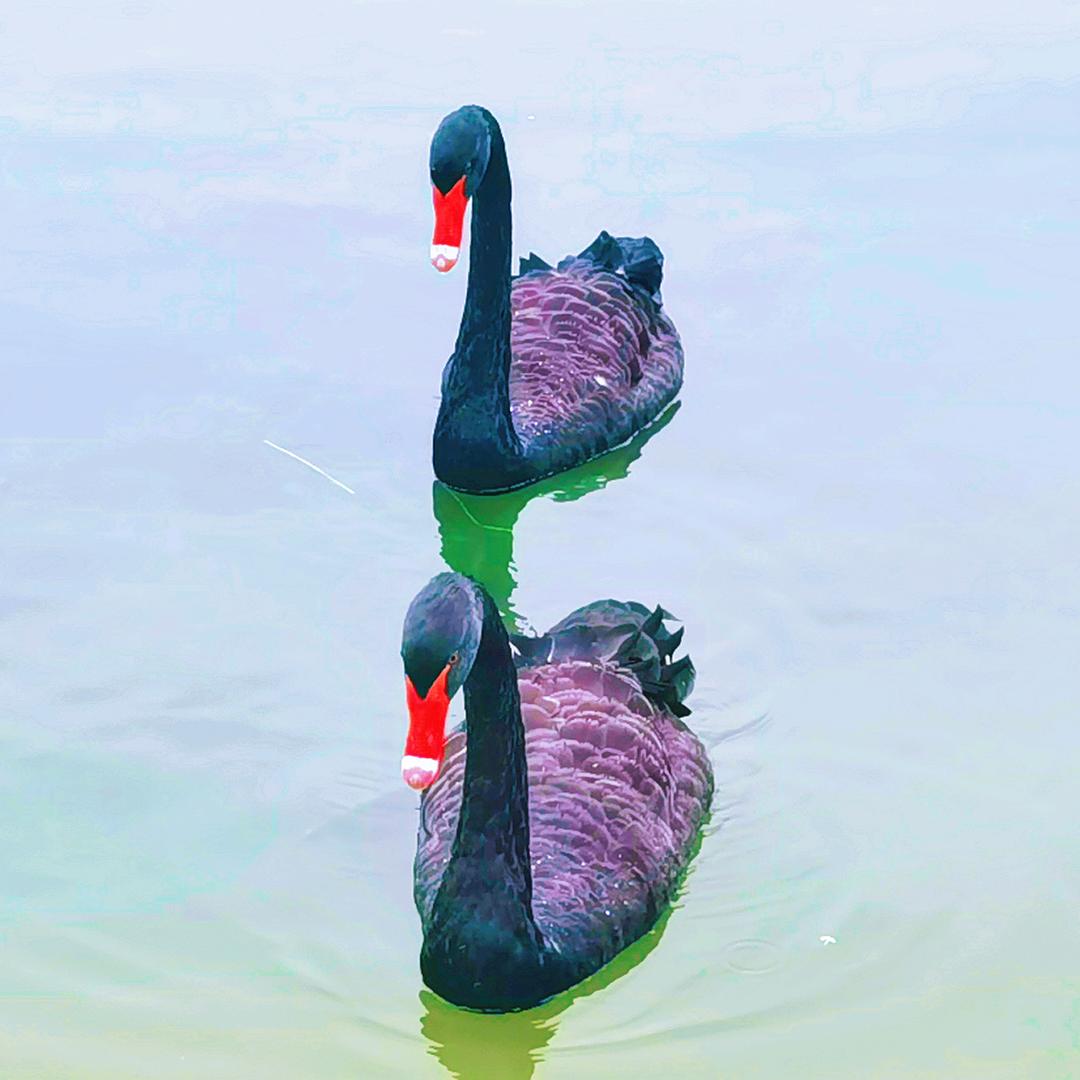 长沙图文广告小成