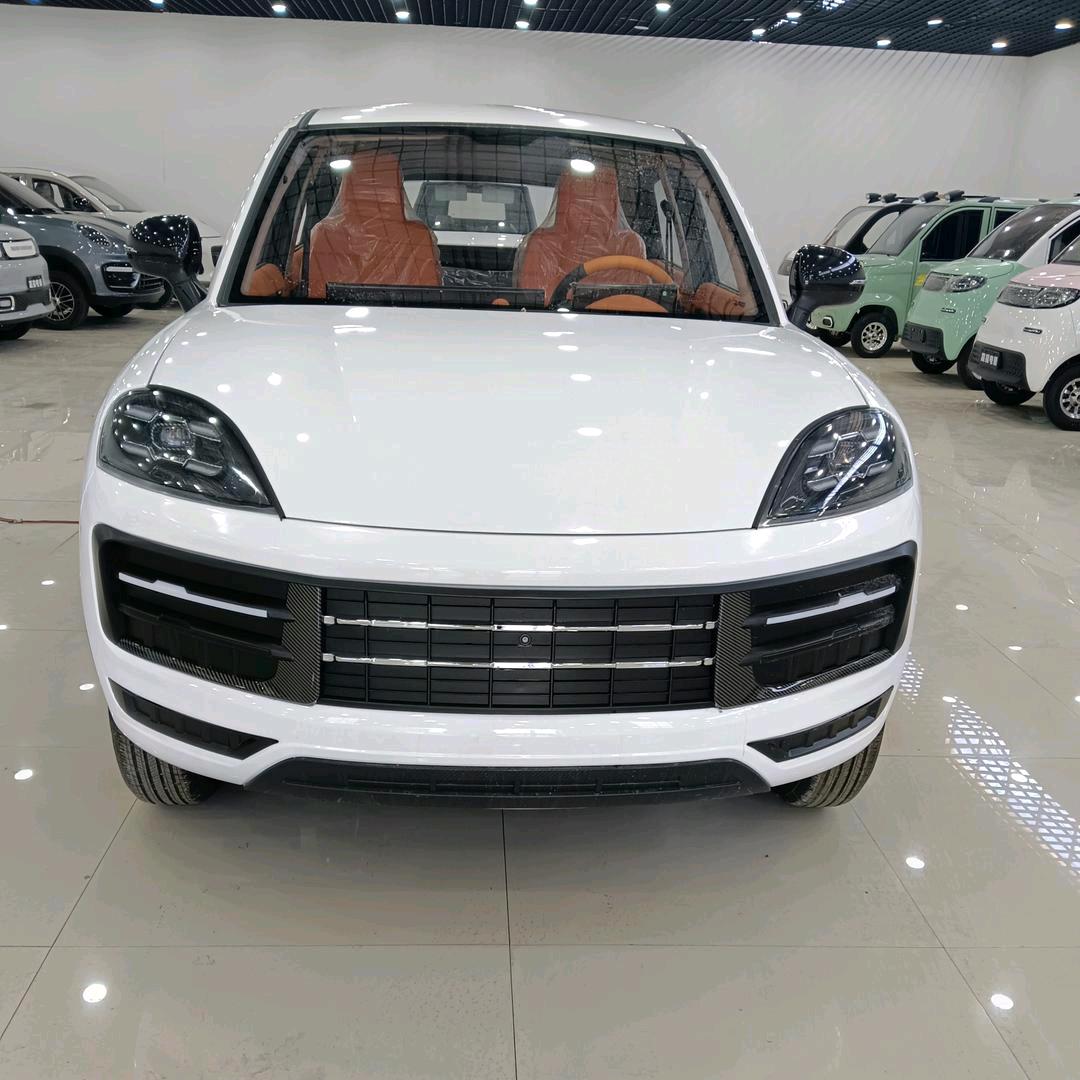 新能源电动车  厂家直销