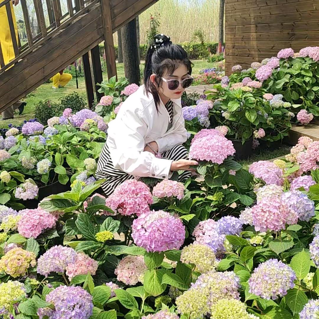 泉城花店兰姐