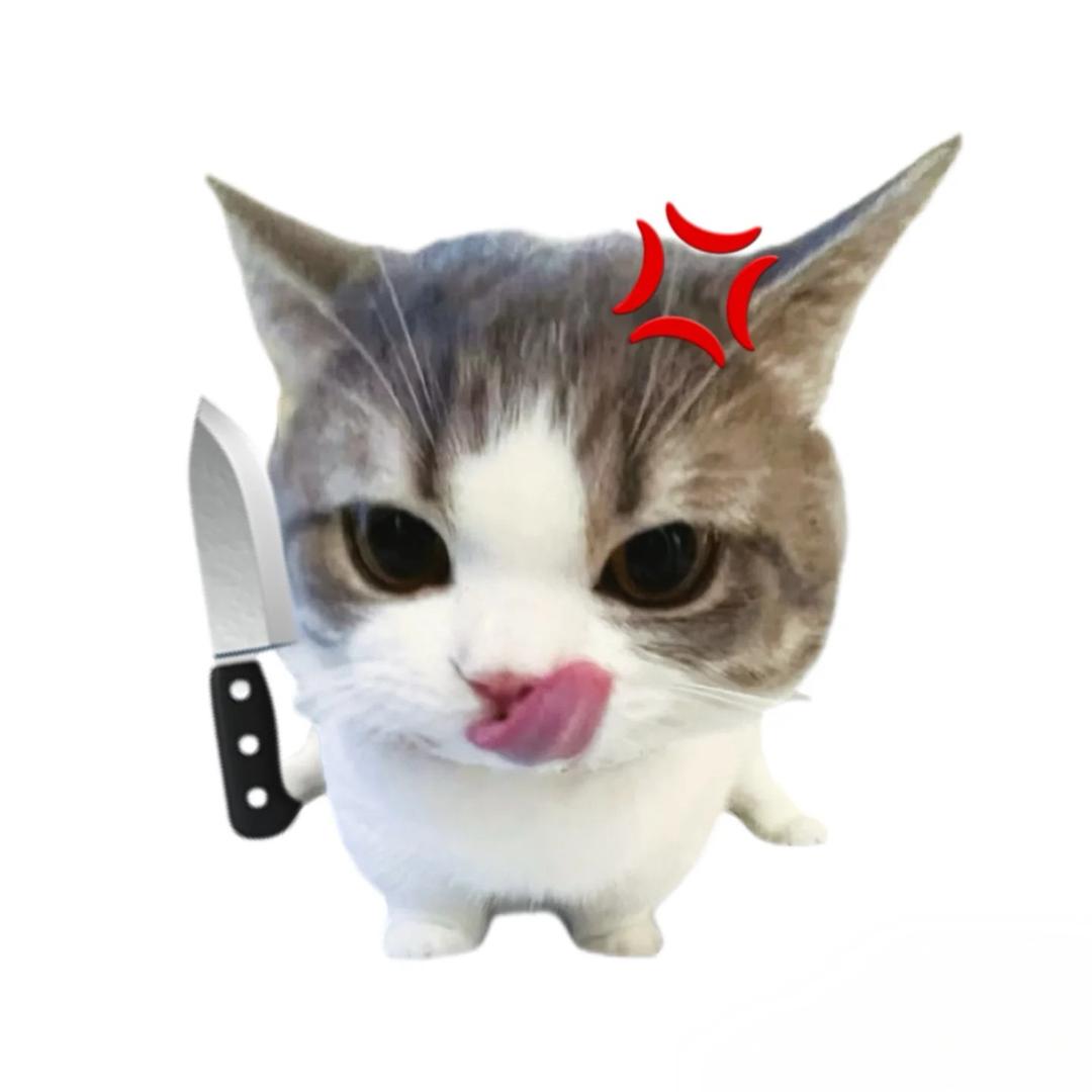 耿小鱼