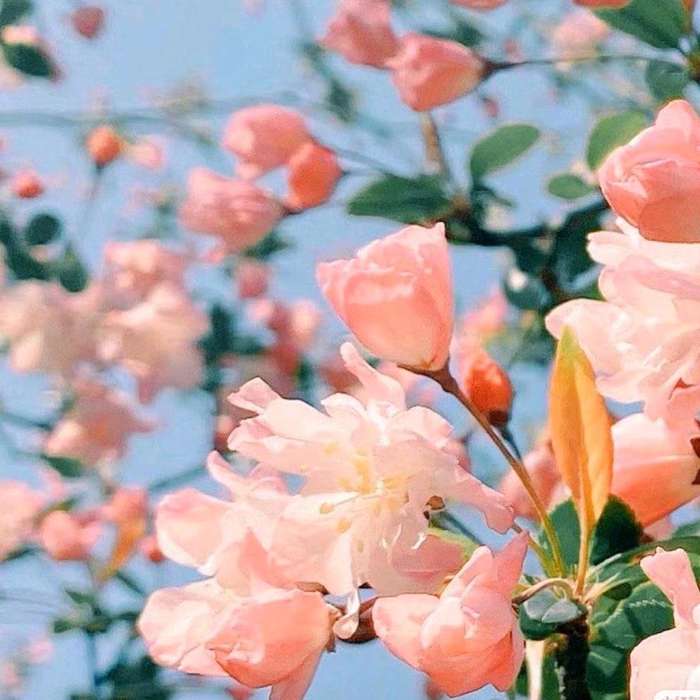 傅茗熙
