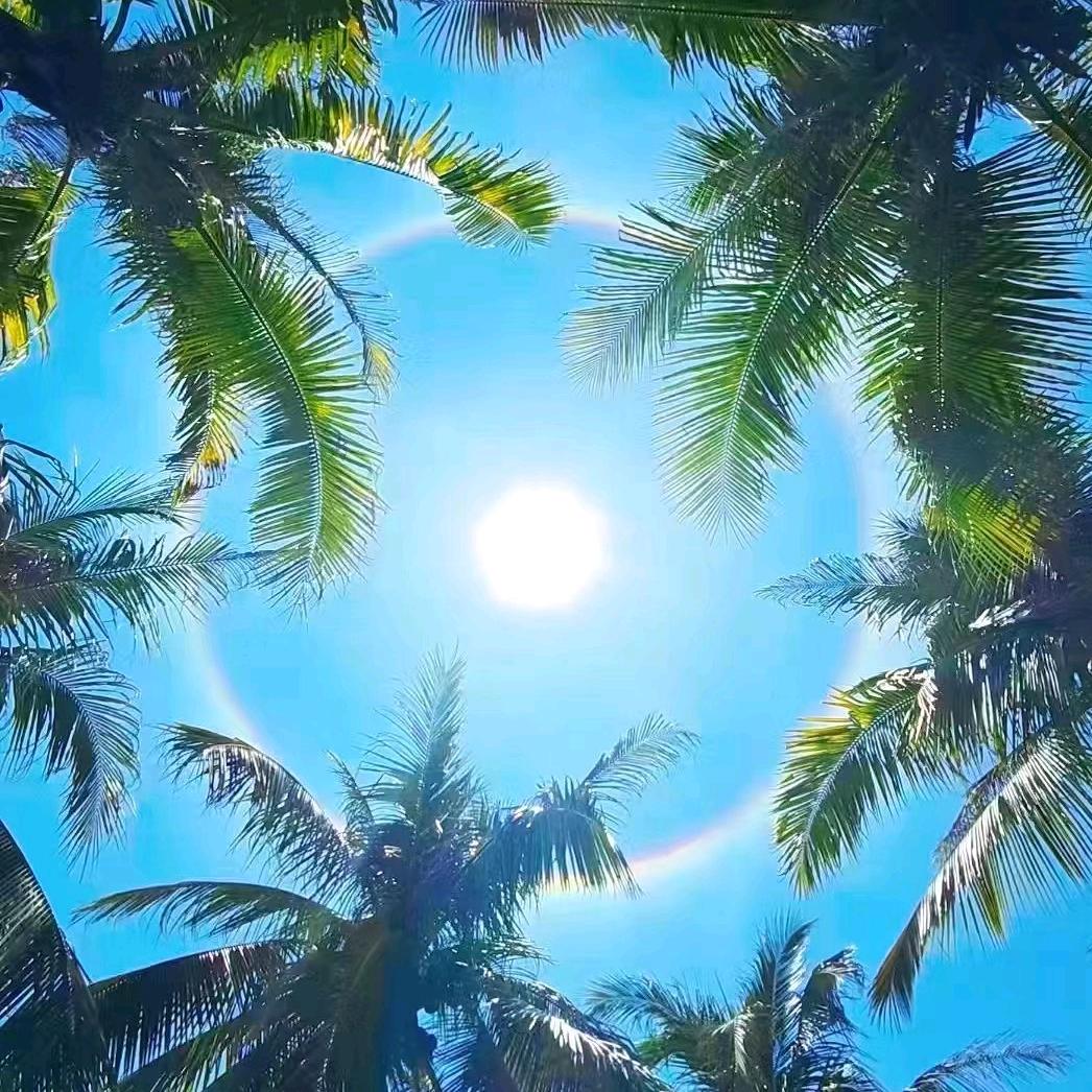 杨羊得亿