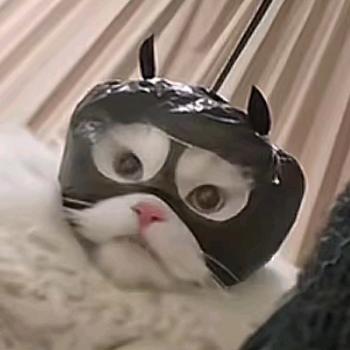桑胡